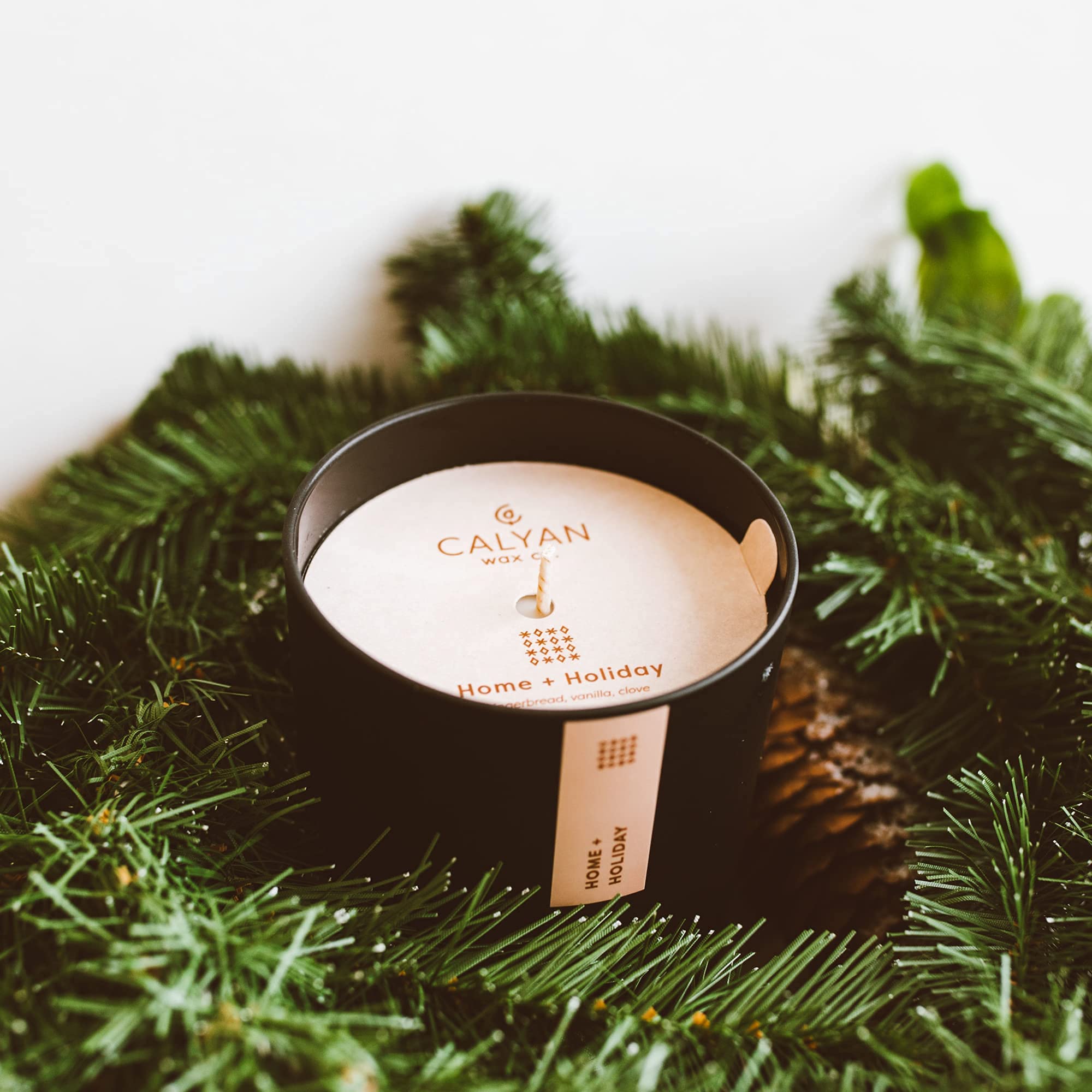 Calyan Wax Co. Vue d’un salon avec cette bougie allumée pour ambiance cosy.
