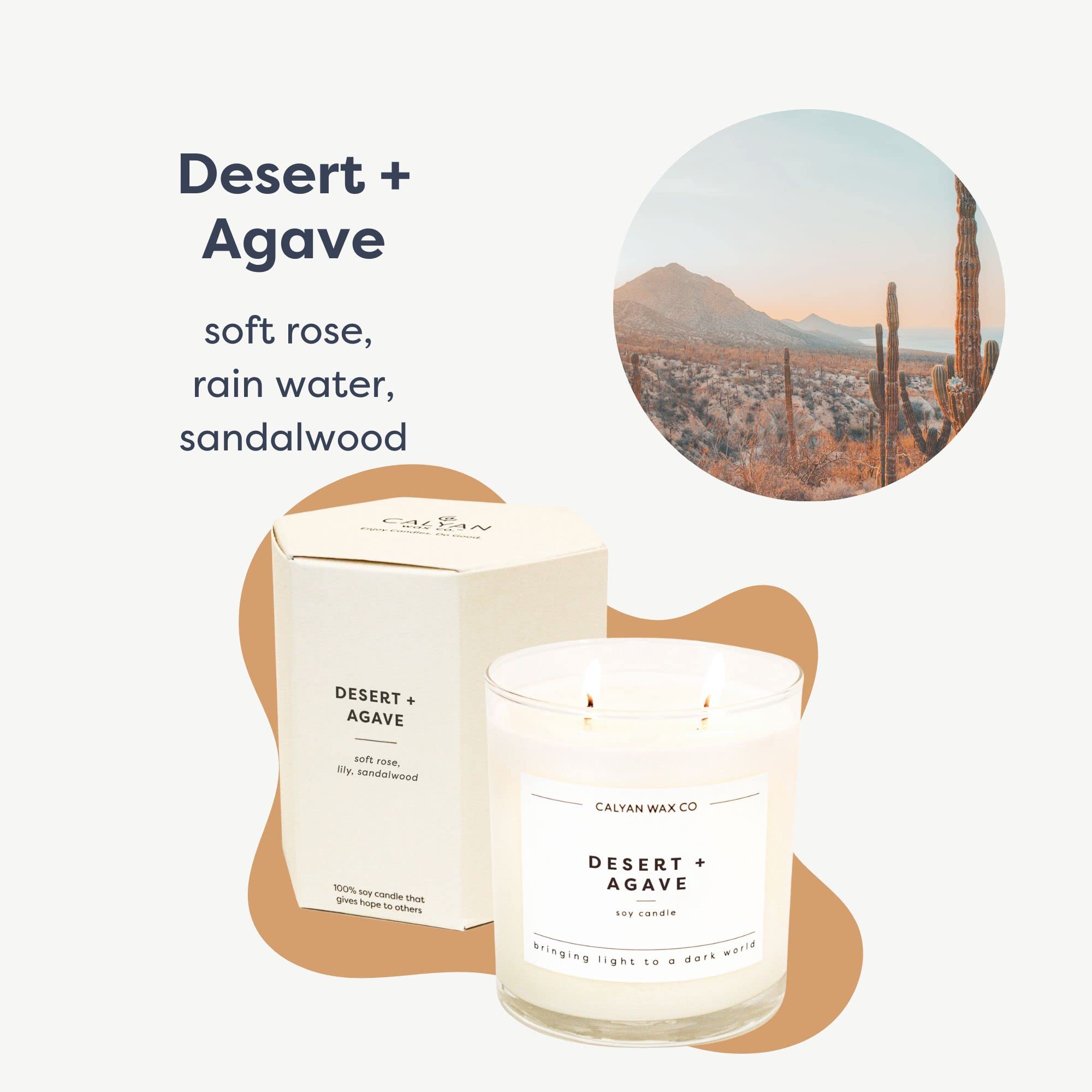 Calyan Wax Co. Desert & Agave, notes florales rose et géranium pour une fragrance élégante.