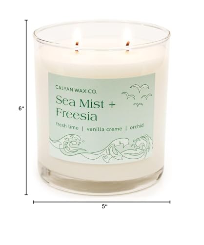 Emballage élégant, cadeau parfait pour les amateurs de parfum intérieur.