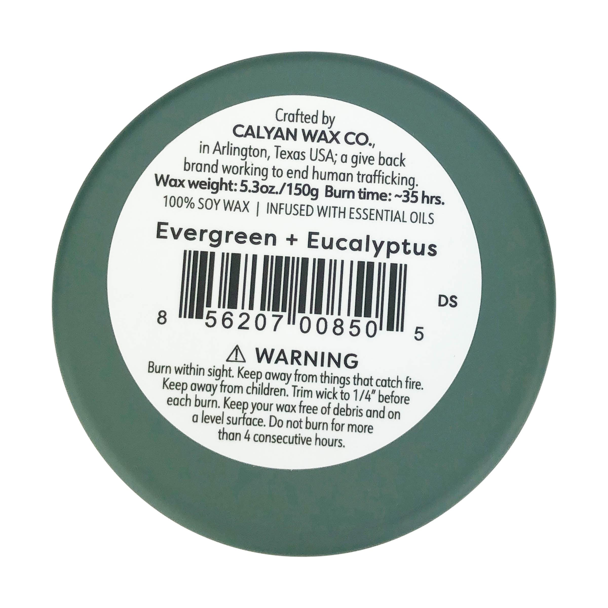 Calyan Wax Co. Bougie-verre-tumbler diffuse un parfum bois-épicé et eucalyptus revitalisant