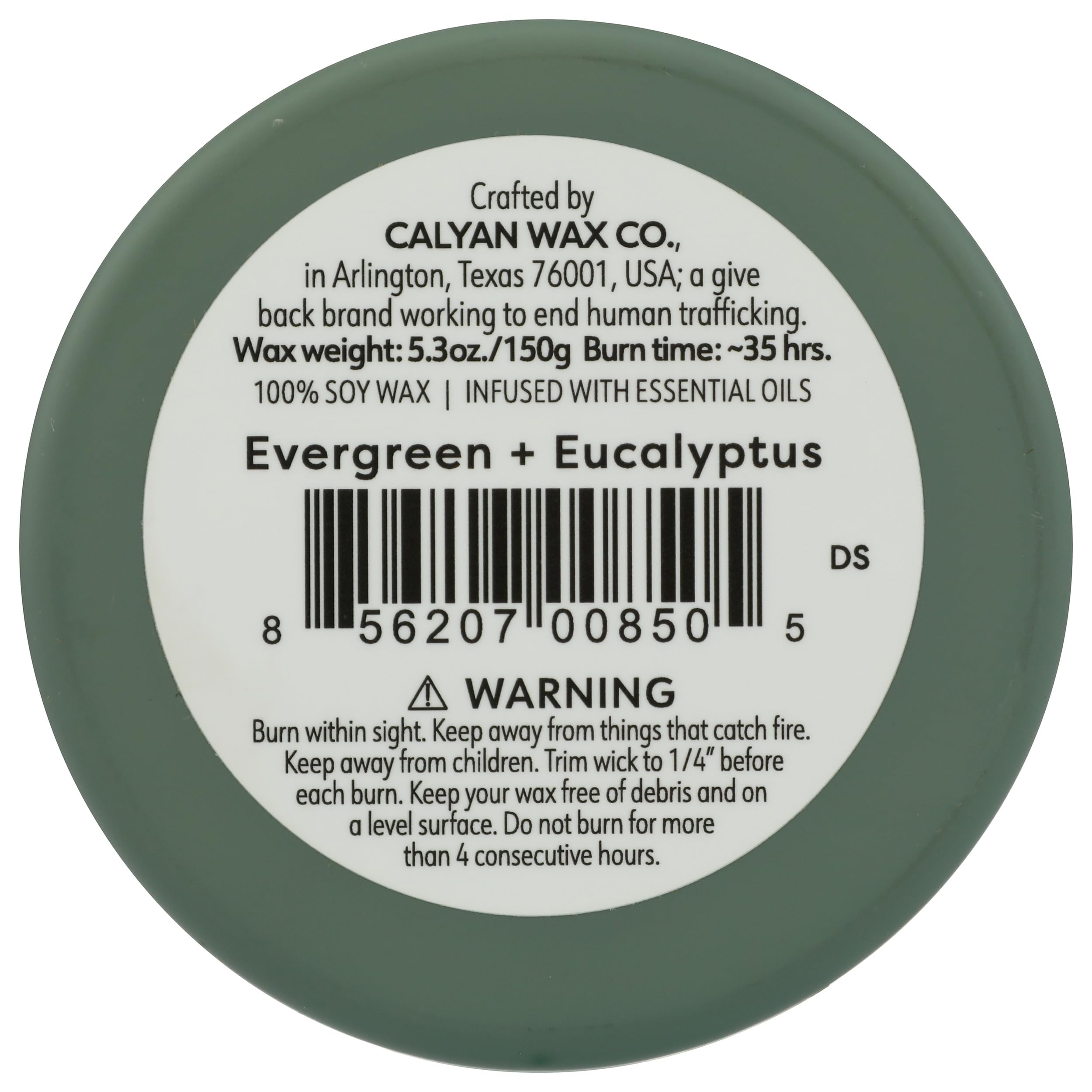 Calyan Wax Co. Green Evergreen Eucalyptus Bougie-verre-tumbler pour décoration parfumée durable