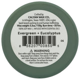 Calyan Wax Co. Green Evergreen Eucalyptus Bougie-verre-tumbler pour décoration parfumée durable