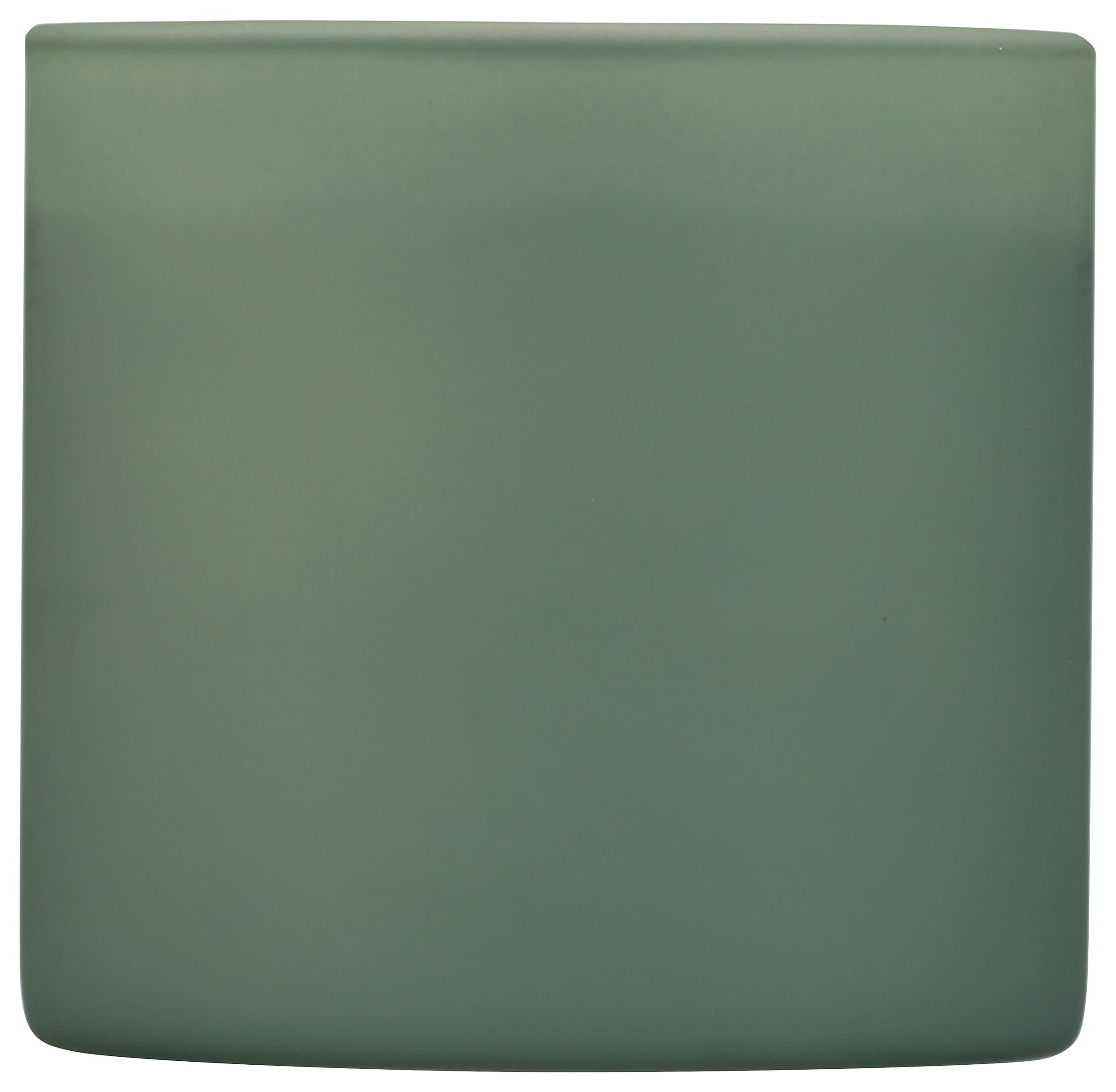 Bougie-verre-tumbler Calyan Wax Co. Green Evergreen Eucalyptus, parfaite pour Salle de séjour