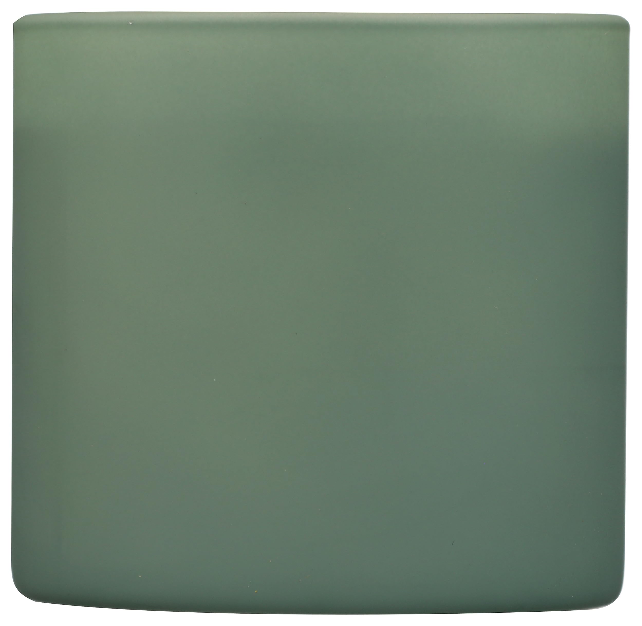 Calyan Wax Co. Green Evergreen Eucalyptus Bougie-verre-tumbler pour ambiance naturelle et réconfortante