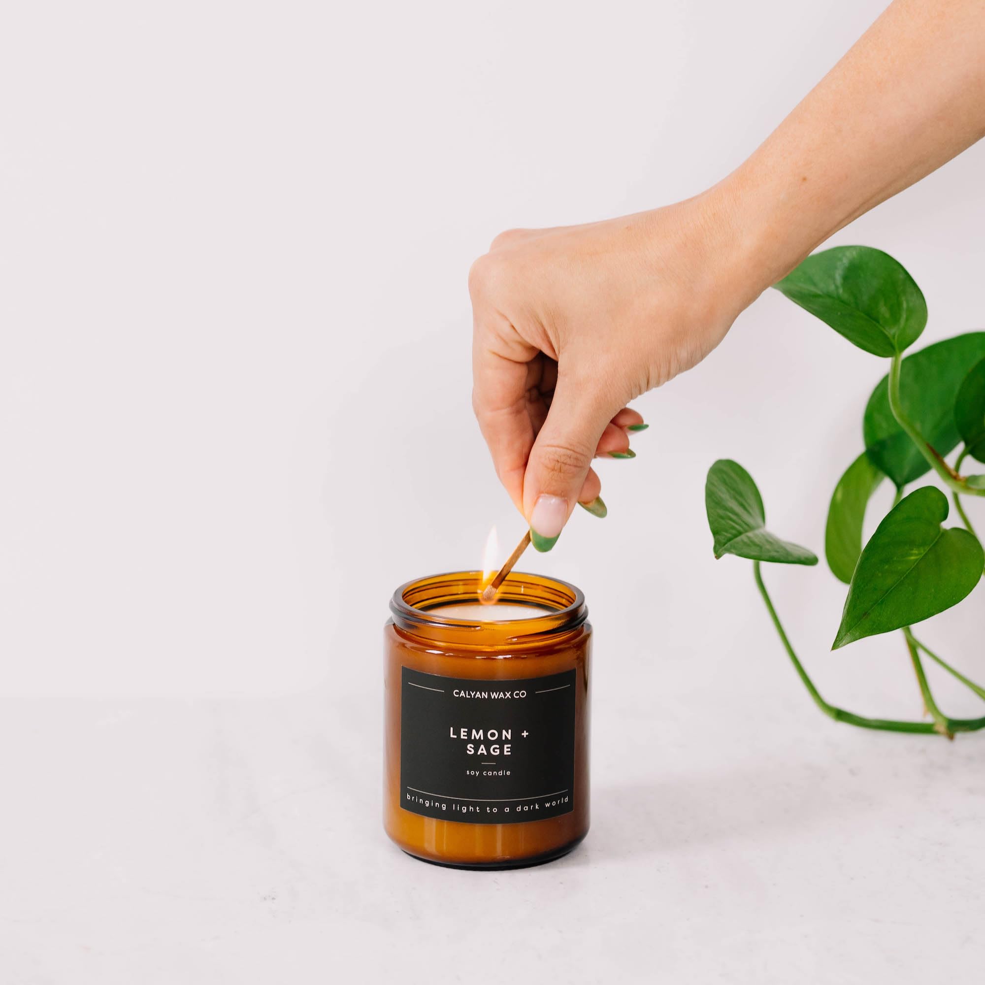 Calyan Wax Co. Utilisation idéale en pièces moyennes