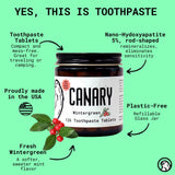 Voyage pratique avec Canary Wintergreen pour hygiène buccale nomade.