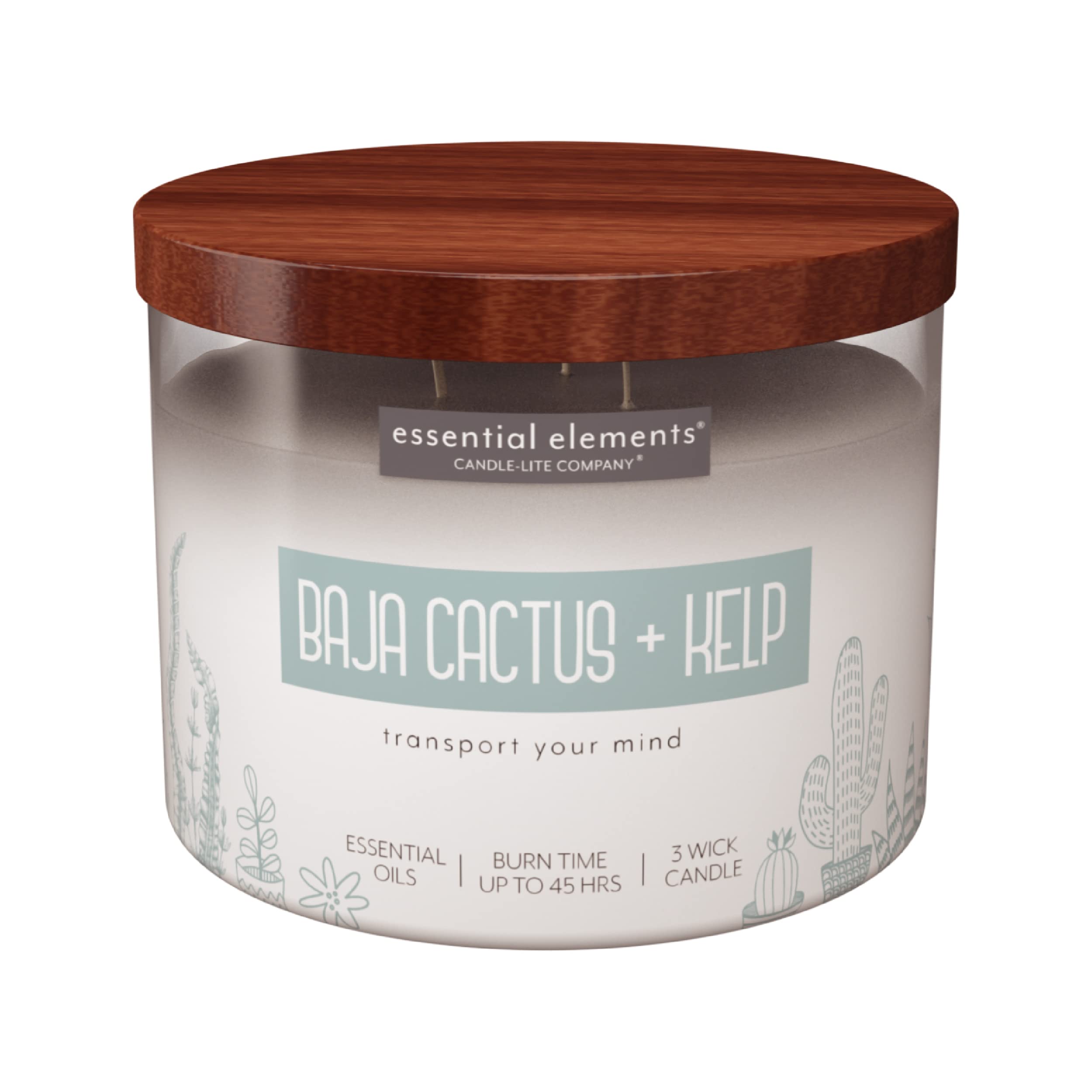 Candle-Lite Baja Cactus et Kelp bougie: parfum frais pour salon