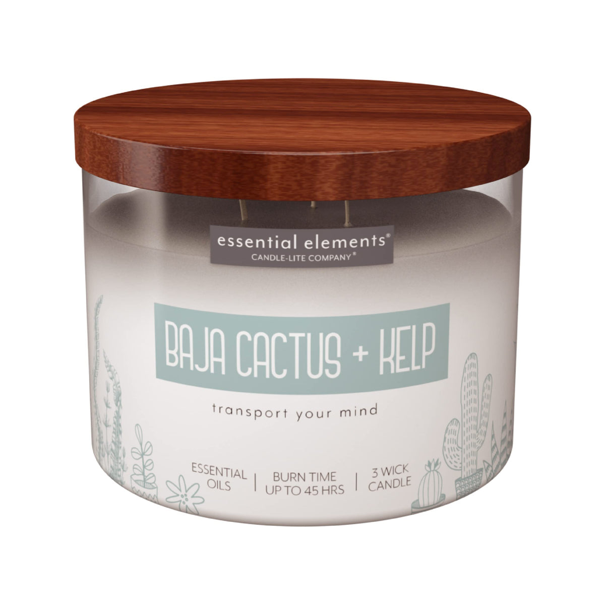 Candle-Lite Baja Cactus et Kelp bougie: parfum frais pour salon