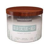 Candle-Lite Baja Cactus et Kelp bougie: parfum frais pour salon