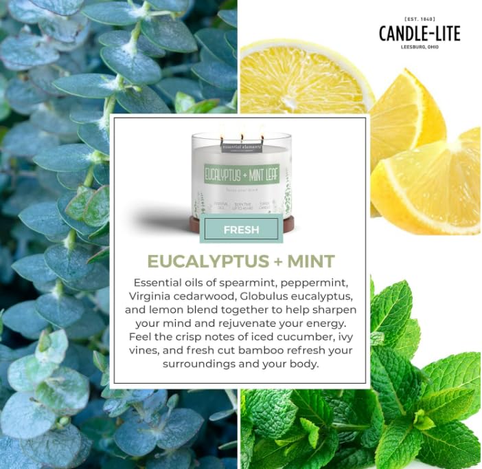 Par Candle-lite, mélange aromatique Eucalyptus et Menthe pour une senteur vivifiante.