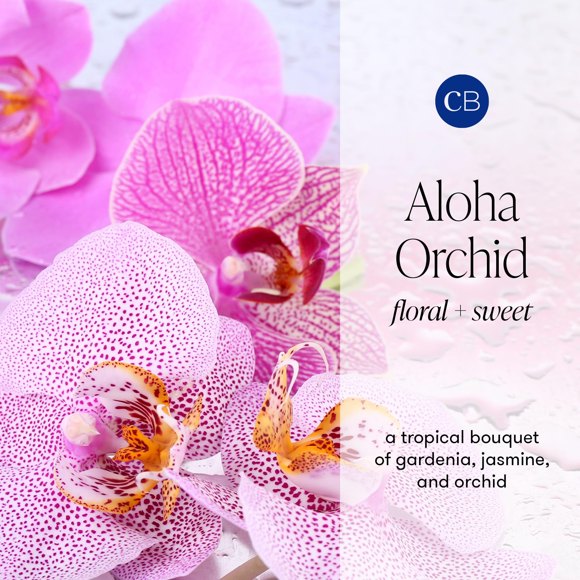Bouteille en verre cobalt Capri Blue Aloha Orchid, élégante et durable pour votre intérieur.