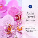 Capri Blue Aloha Orchid, bâtons visibles diffusant rapidement les notes florales