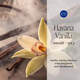 Capri Blue Havana Vanilla notes vanille et bergamot pour confort