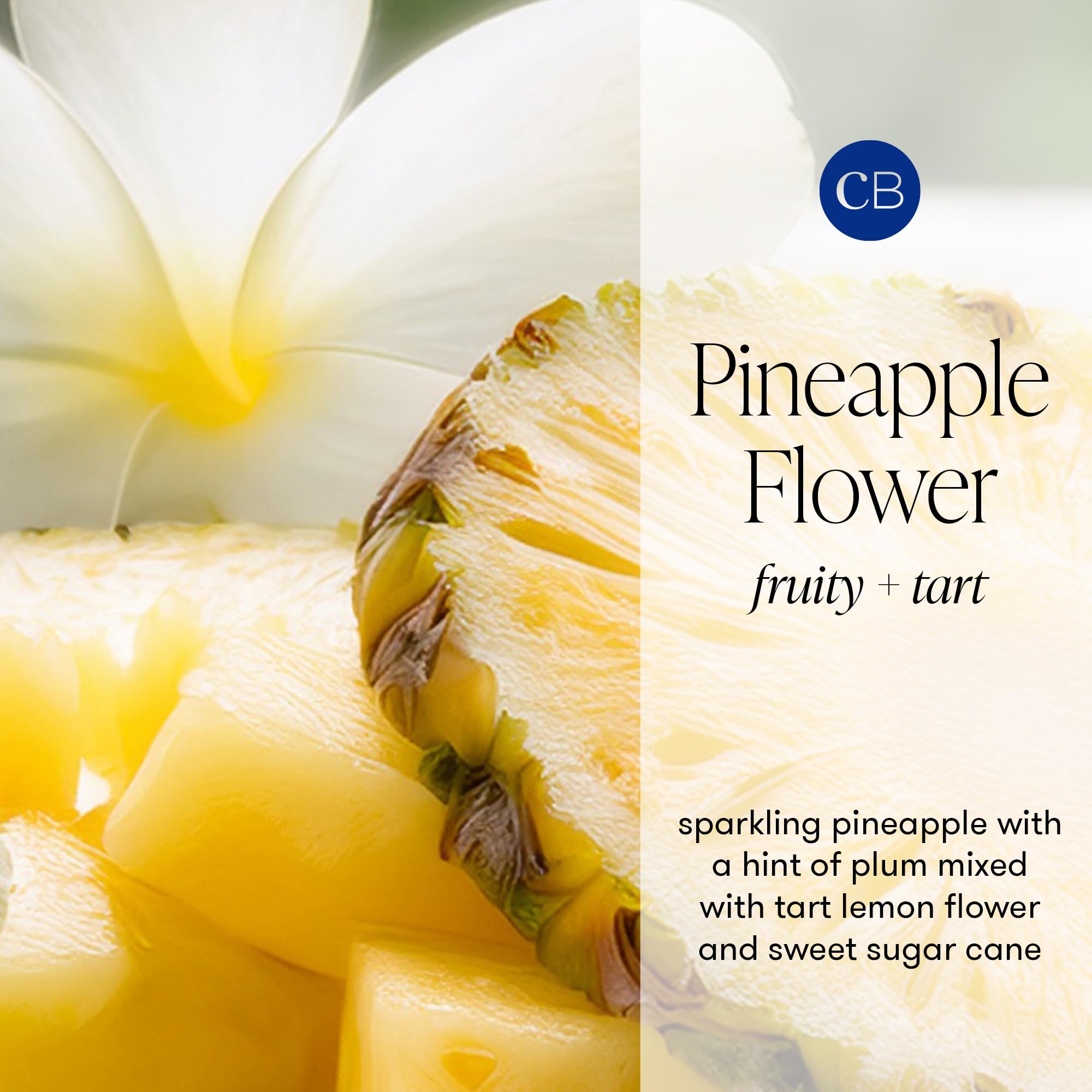 Huile parfumée Fleur d Ananas Capri Blue, apportant une touche tropicale.