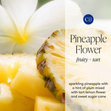Huile parfumée Fleur d Ananas Capri Blue, apportant une touche tropicale.