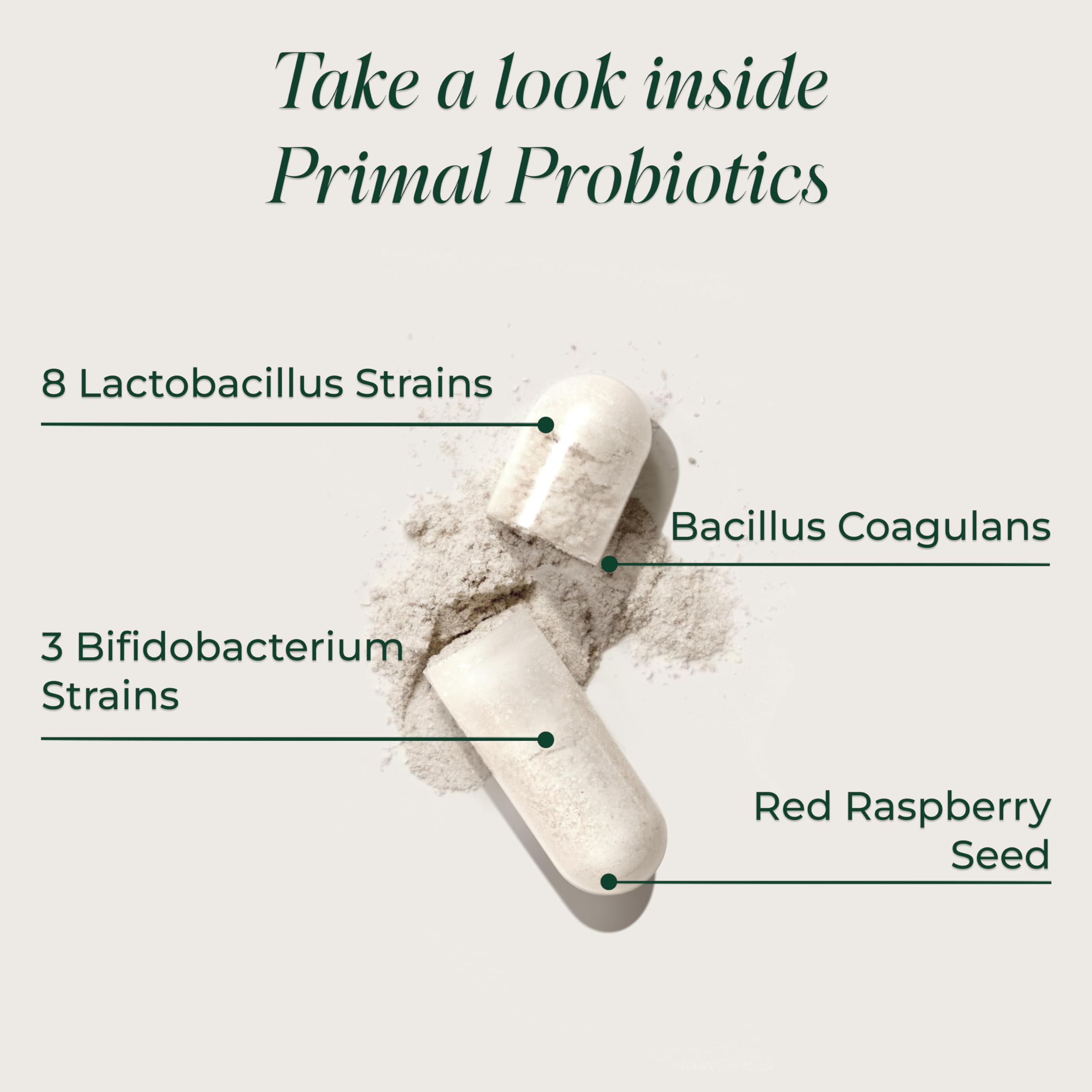 Capsules Probiotiques Quotidienne - prise facile avec eau et repas
