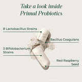 Capsules Probiotiques Quotidienne - prise facile avec eau et repas
