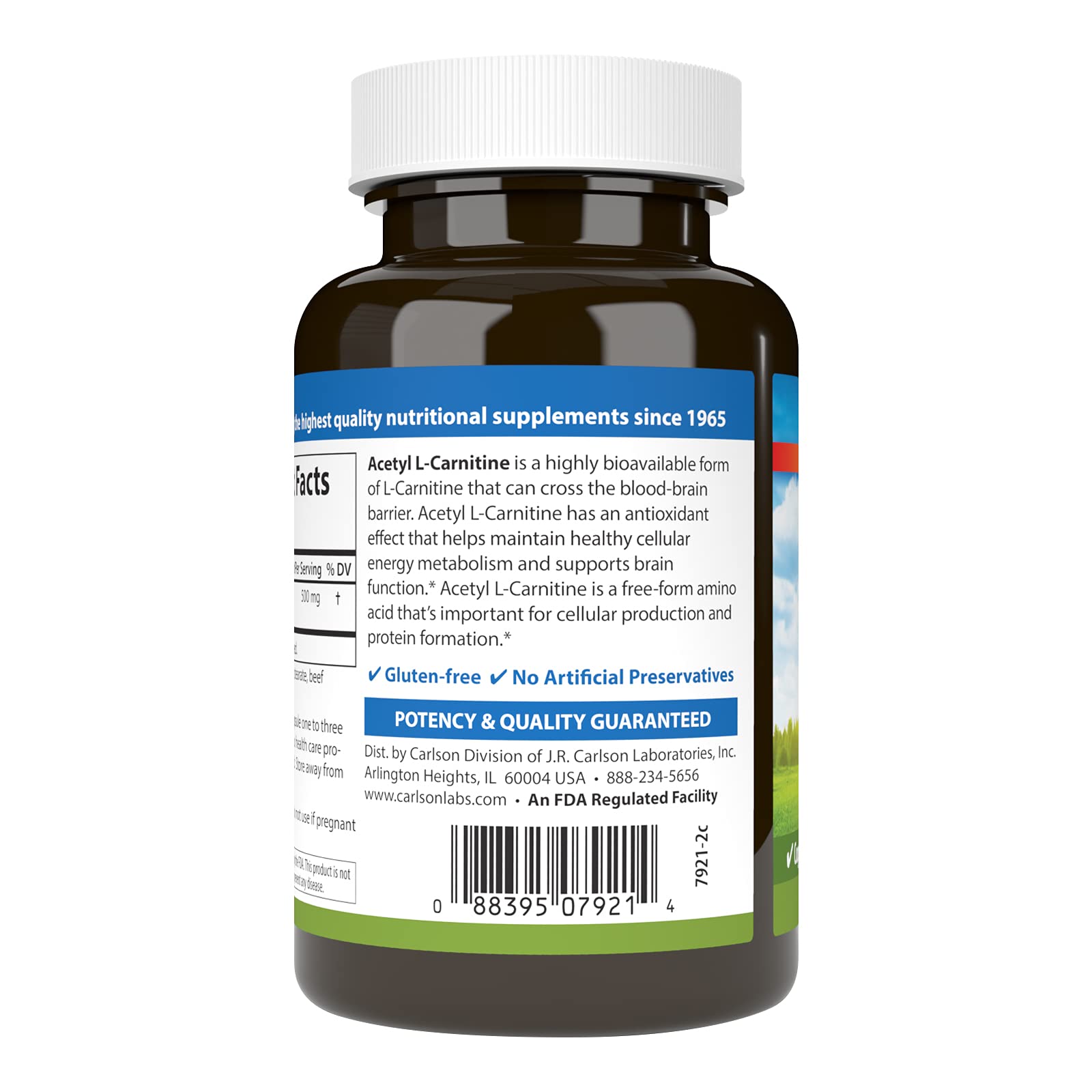 Carlson Acétyl L-Carnitine 500 mg – Étiquette lisible et informative.