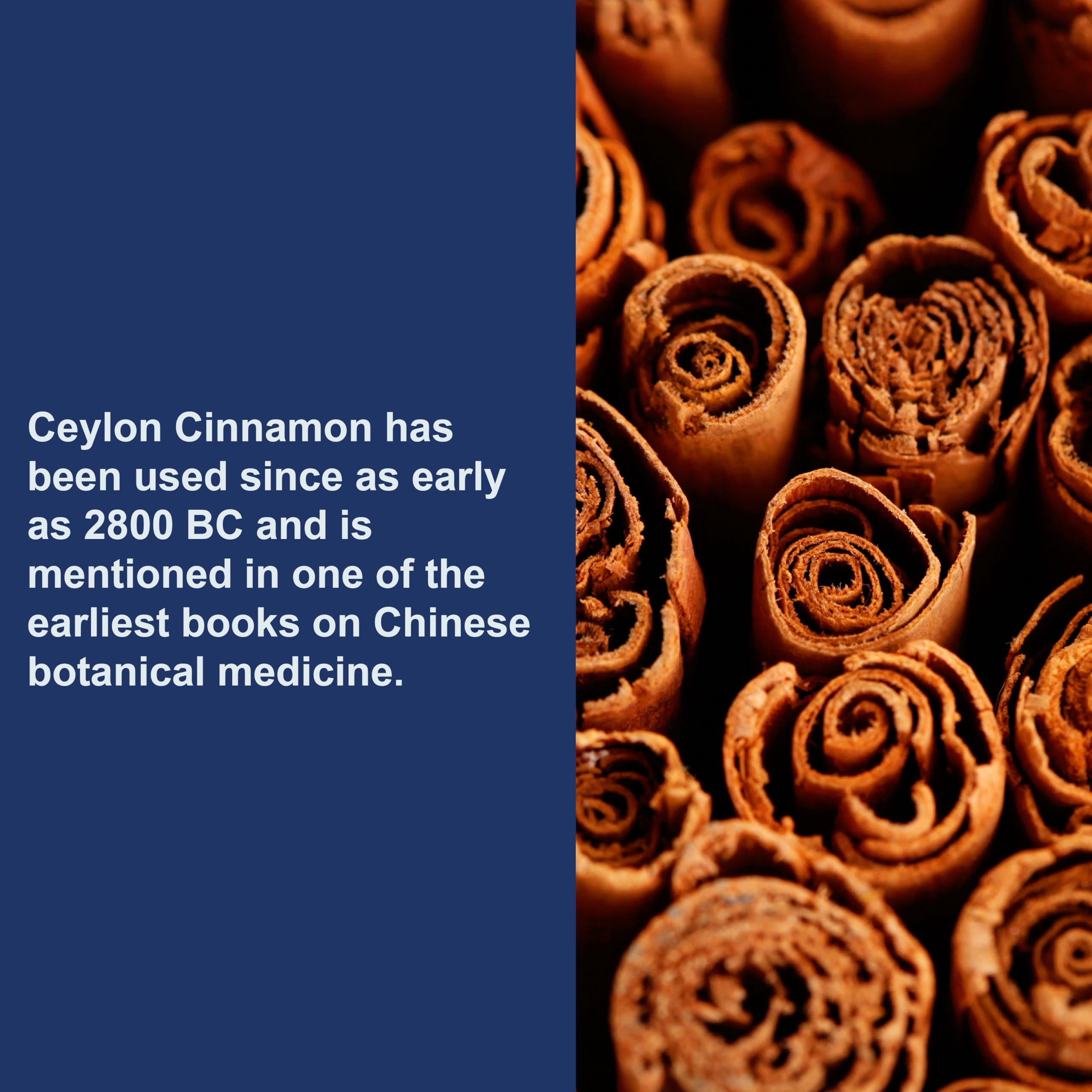Forme gélule Carlson Ceylon Cinnamon, facile à intégrer à votre routine.