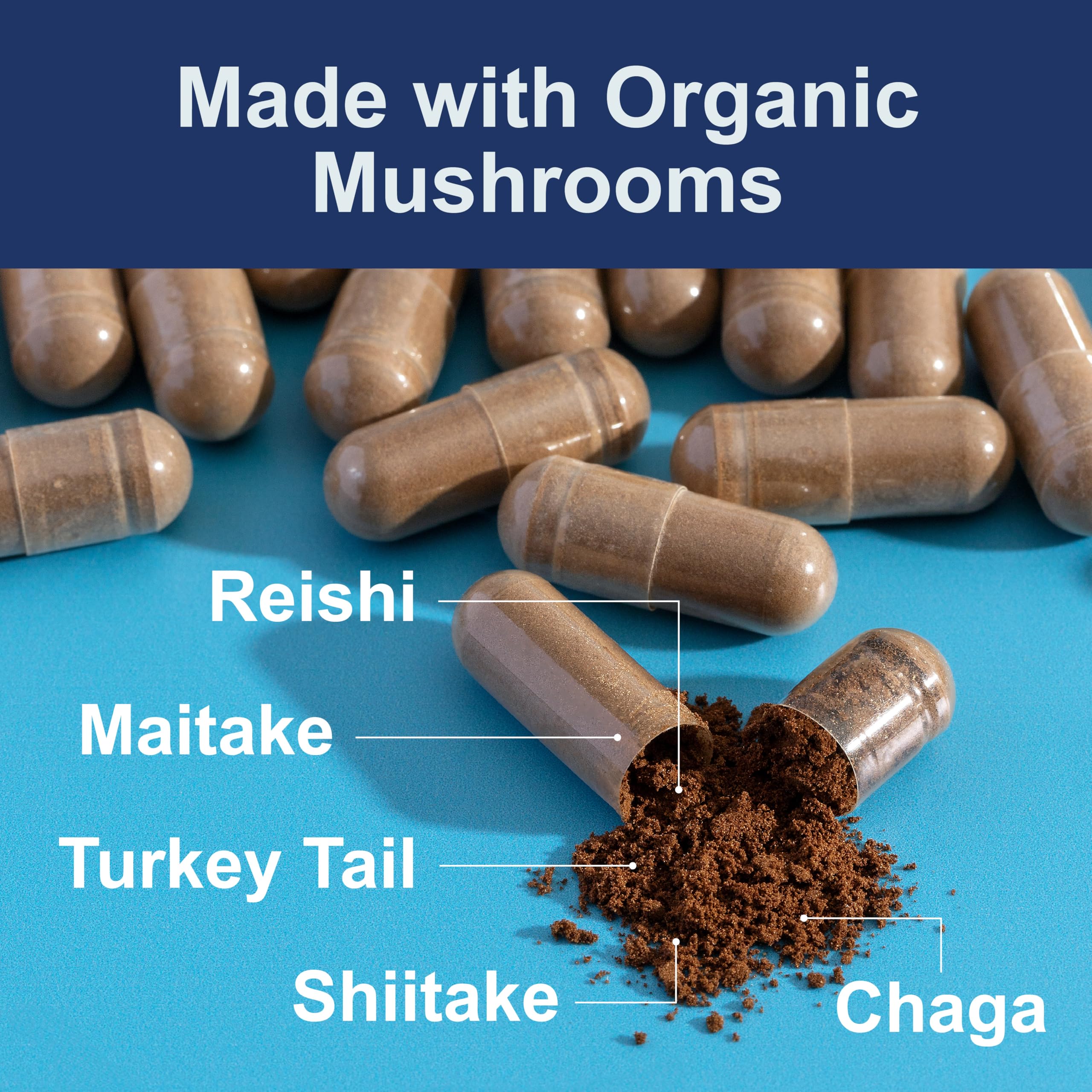 Carlson Complexe de champignons: capsules prêtes, prise quotidienne simple.
