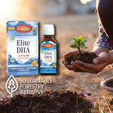 Carlson Elite DHA goût orange, complément quotidien pratique.