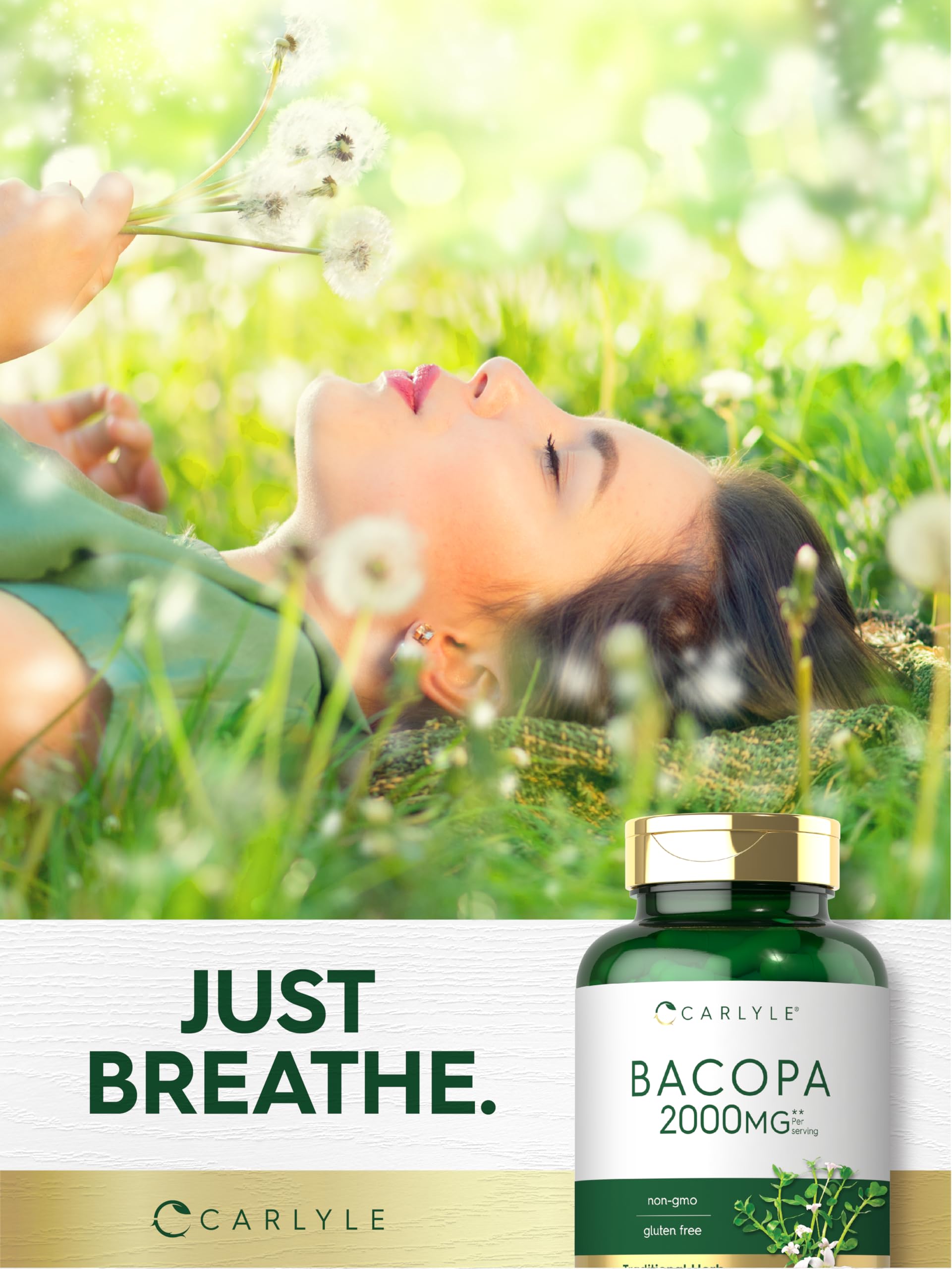 Extrait asiatique Bacopa Monnieri dans les capsules Carlyle