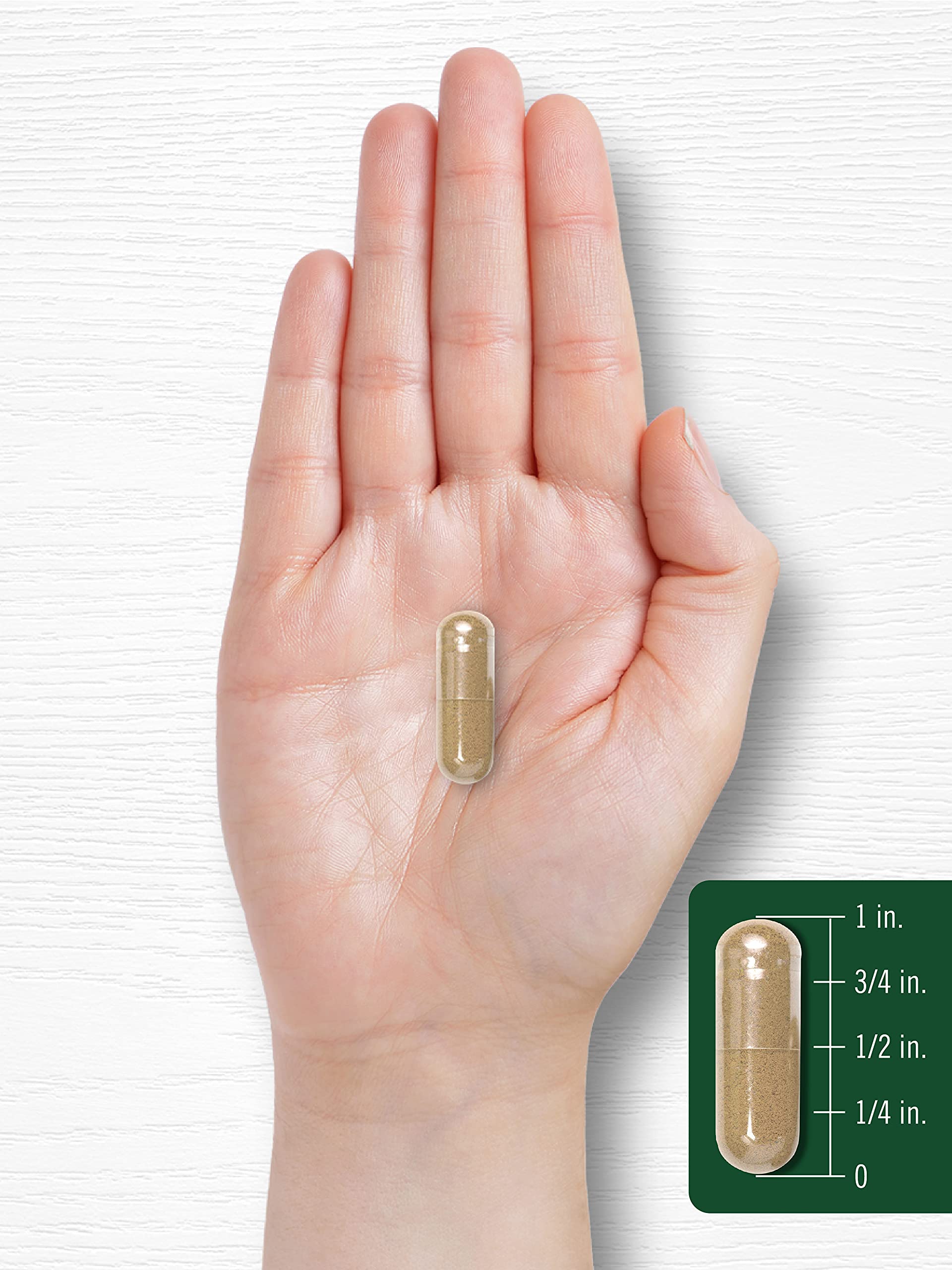 Produit sans gluten Carlyle Artichaut, sans OGM, pour alimentation consciente.