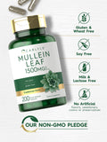 Carlyle extrait bouillon-blanc sans OGM pour consommation sûre