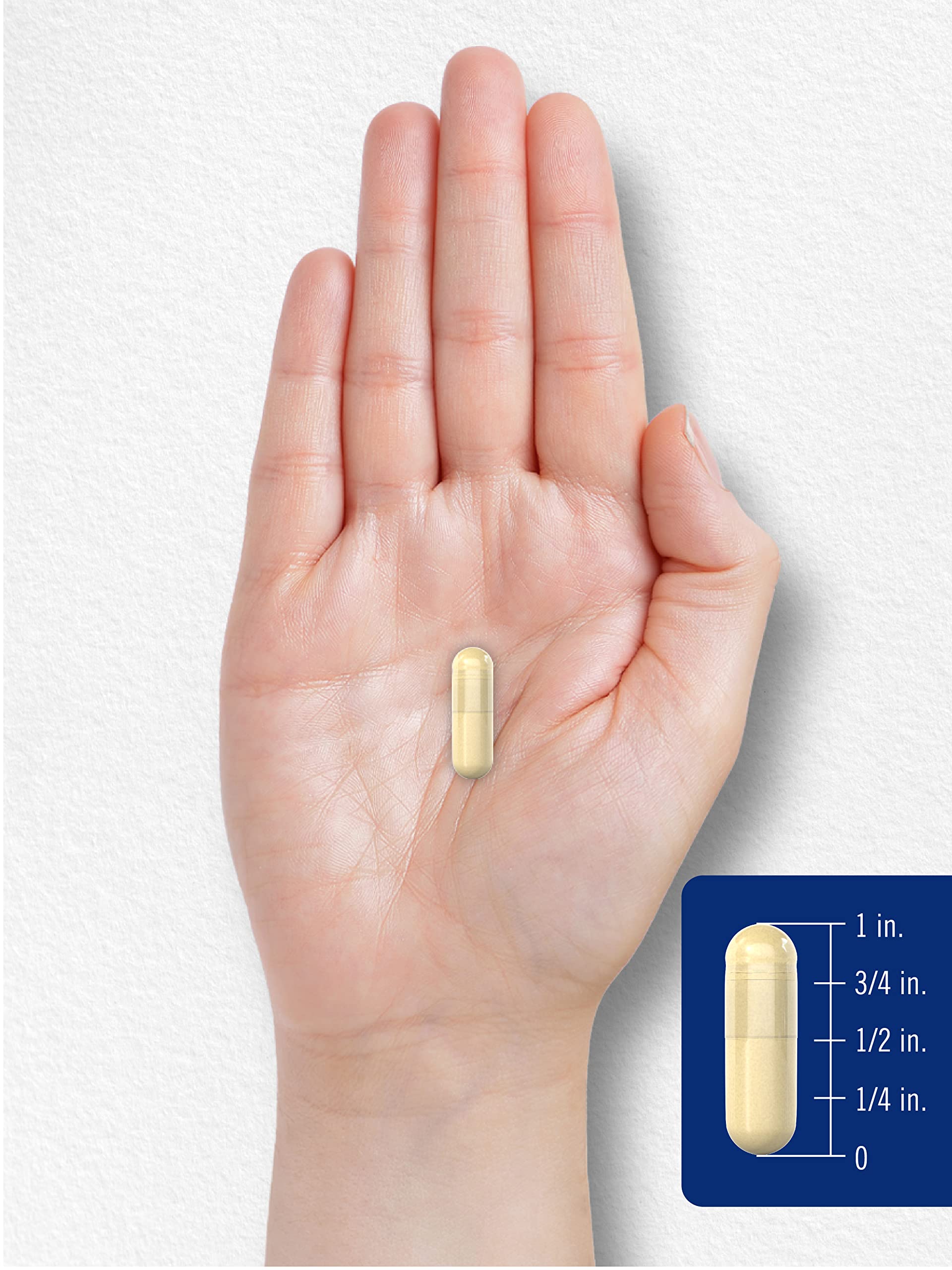 Carlyle gélatine capsules usage quotidien beauté.
