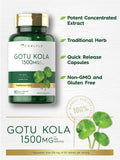 Aperçu de la boîte Carlyle Gotu Kola prête à intégrer votre routine.