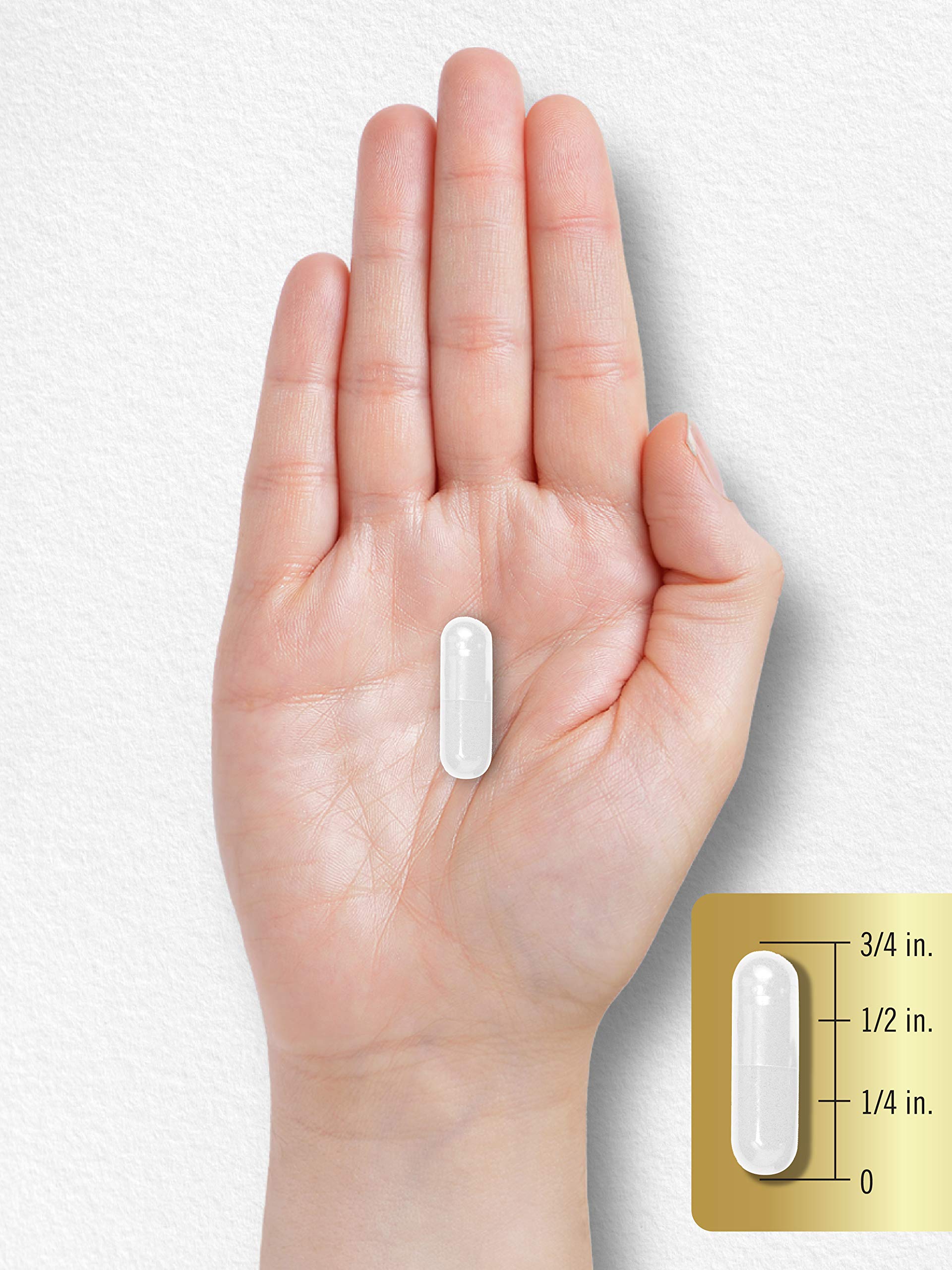 Carlyle L-Glutamine, bouteille ouverte, accès rapide pendant l’entraînement