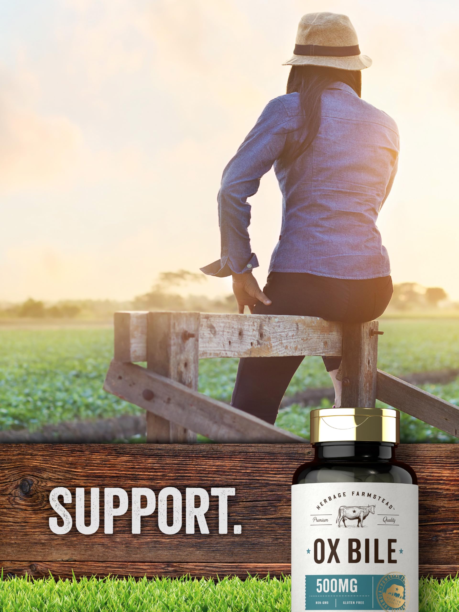 Carlyle Ox Bile – ingrédients propres et sans artificiels