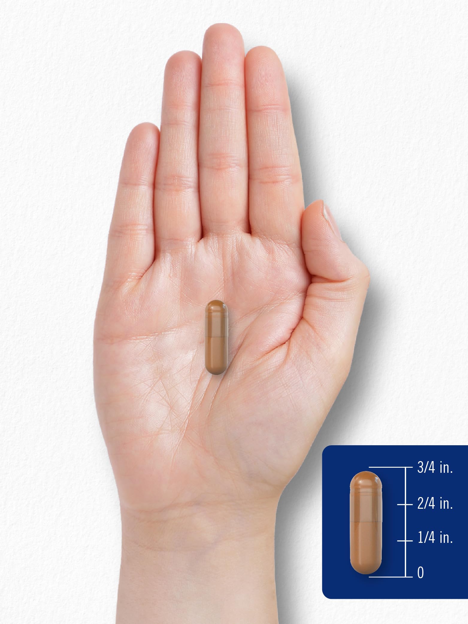 Emballage durable Carlyle PQQ, recyclable et respectueux de l’environnement.