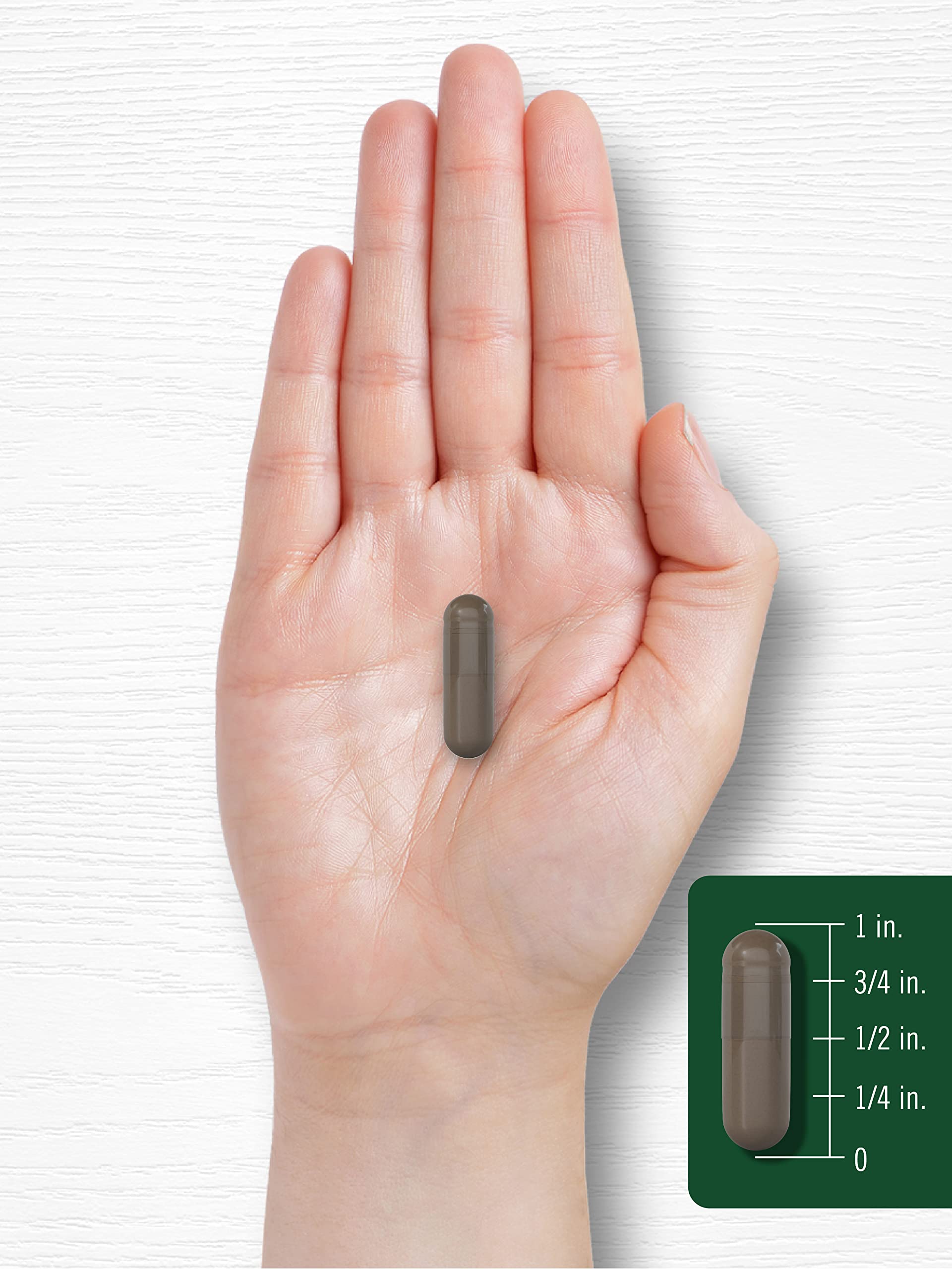 Carlyle Shilajit capsules, posée sur comptoir, suggère une routine saine.