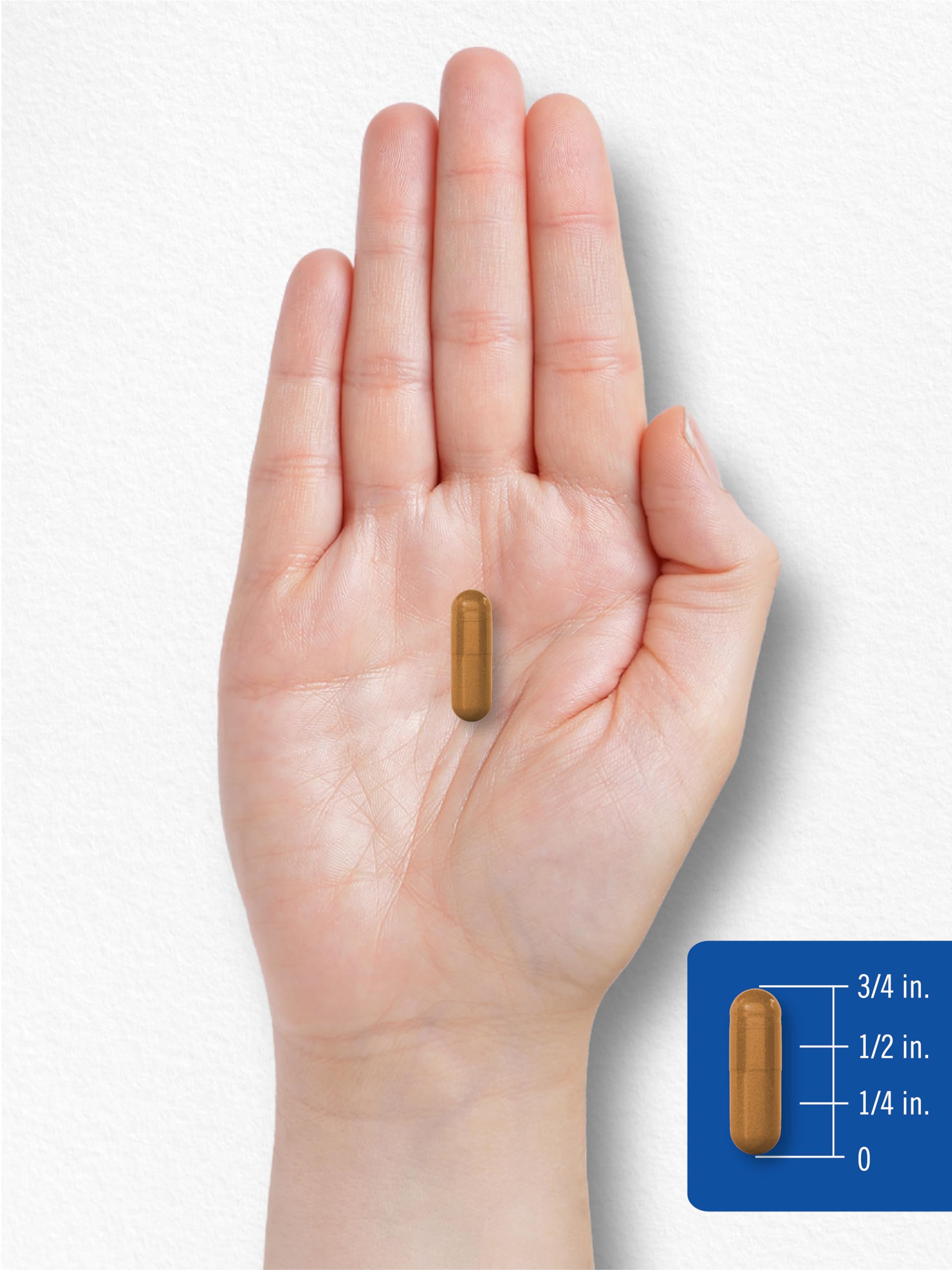 Carlyle Vitamine B2 400 mg – page d informations nutritionnelles claires