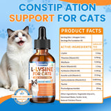 Chat en bonne santé avec Carmelie L-Lysine: routine quotidienne simplifiée.