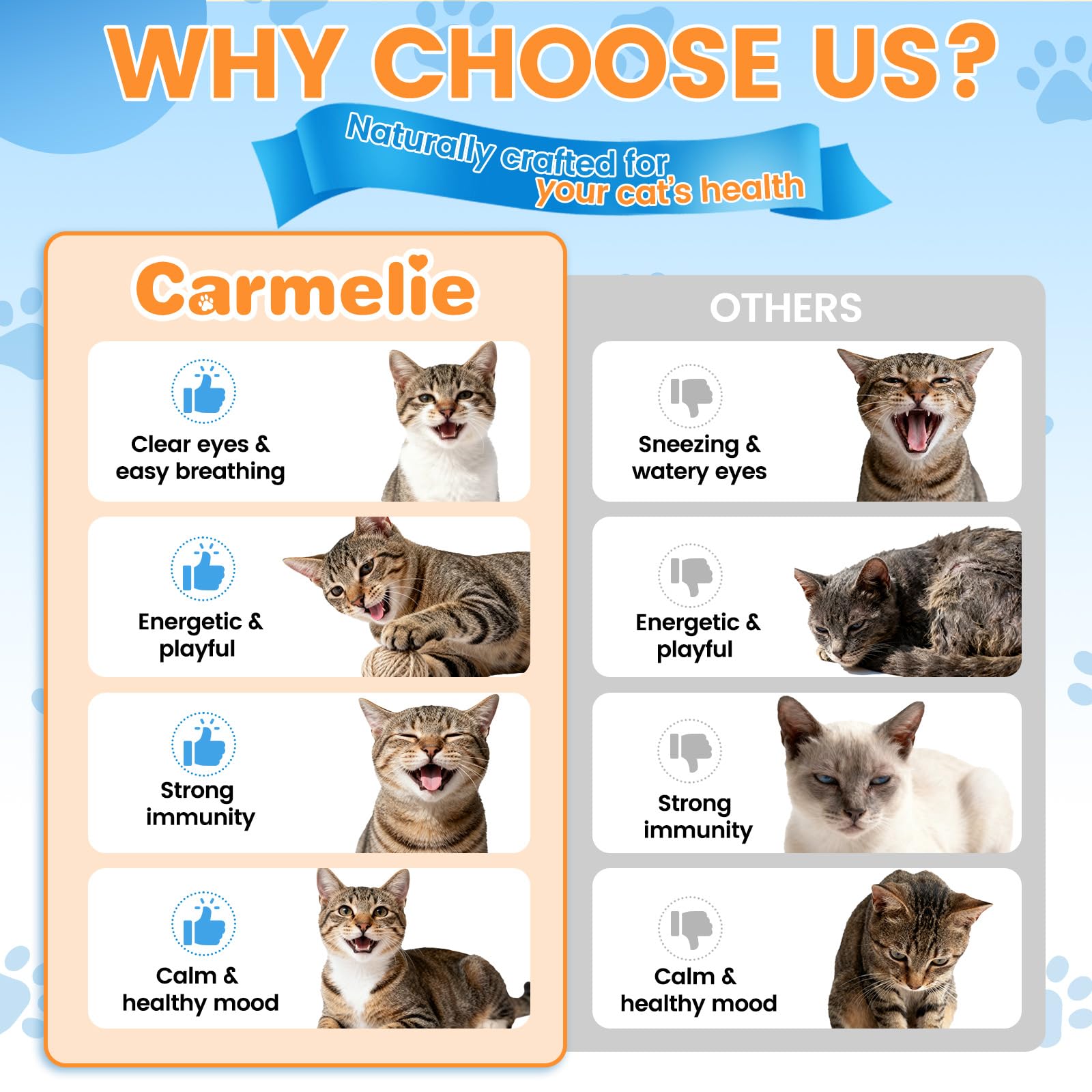 Saveur Poulet Rôti Carmelie L-Lysine: agréable pour les chats difficiles à convaincre.