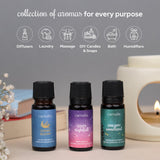 Carnatia Starry Spell: coffret cadeau astro avec étiquettes éco