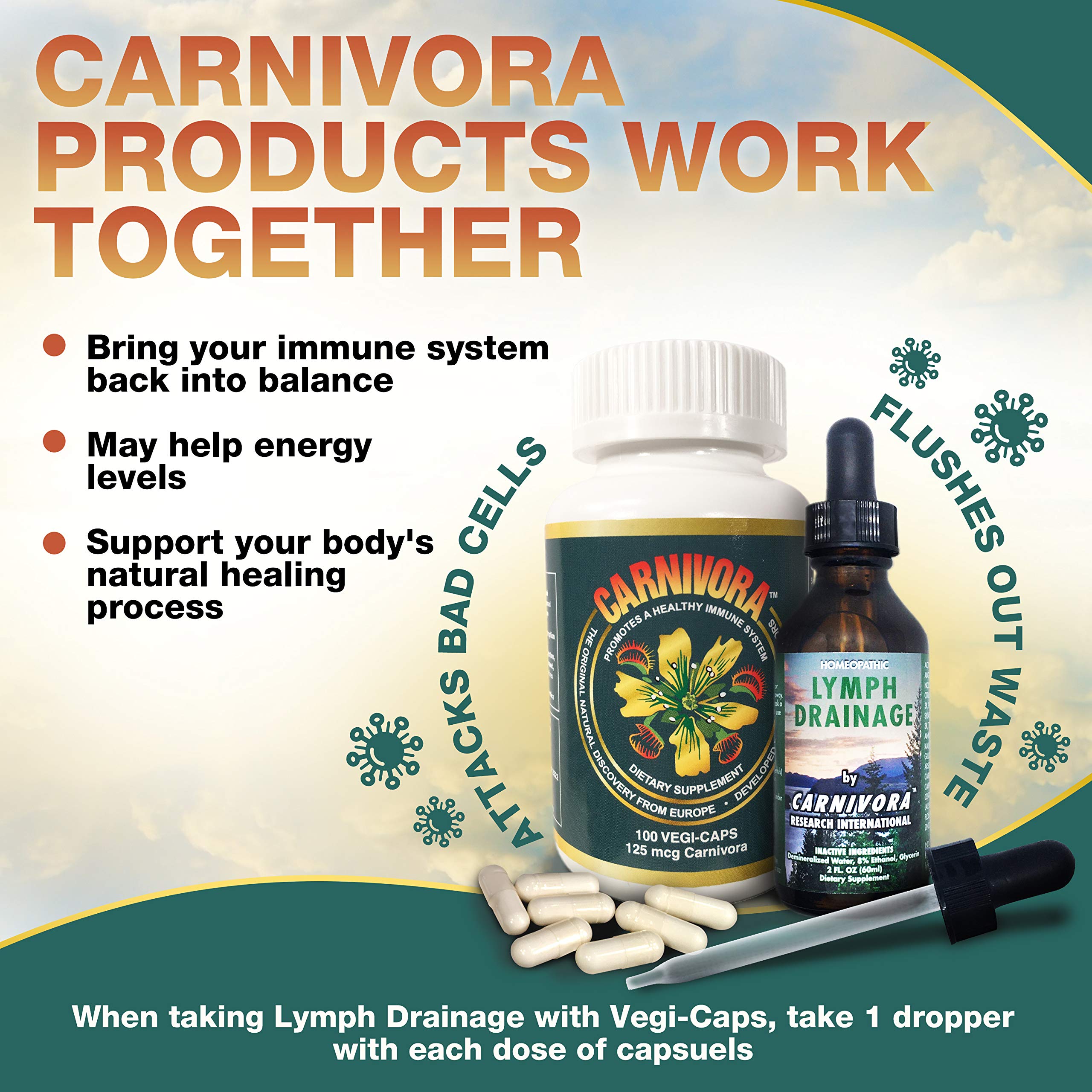 Capsules Carnivora Vegi-Caps prete a etre prise chaque jour
