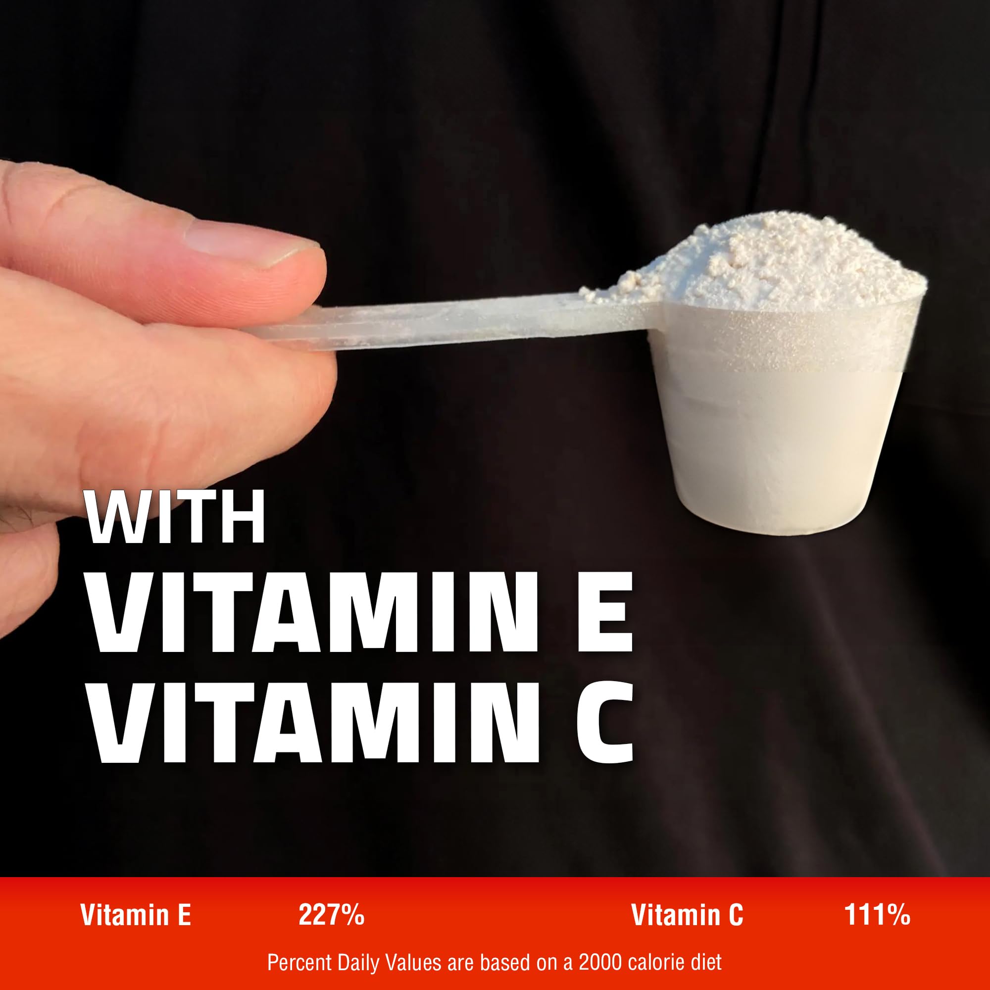 Carnivore Electrolytes Poudre dilution rapide: boisson pratique pour l'entraînement.