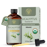 Carno Calm Eucalyptus: bouteille prête à diffuser pour une ambiance rafraîchissante.