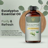Carno Calm Eucalyptus: soin capillaire dilué pour un cuir chevelu sain.