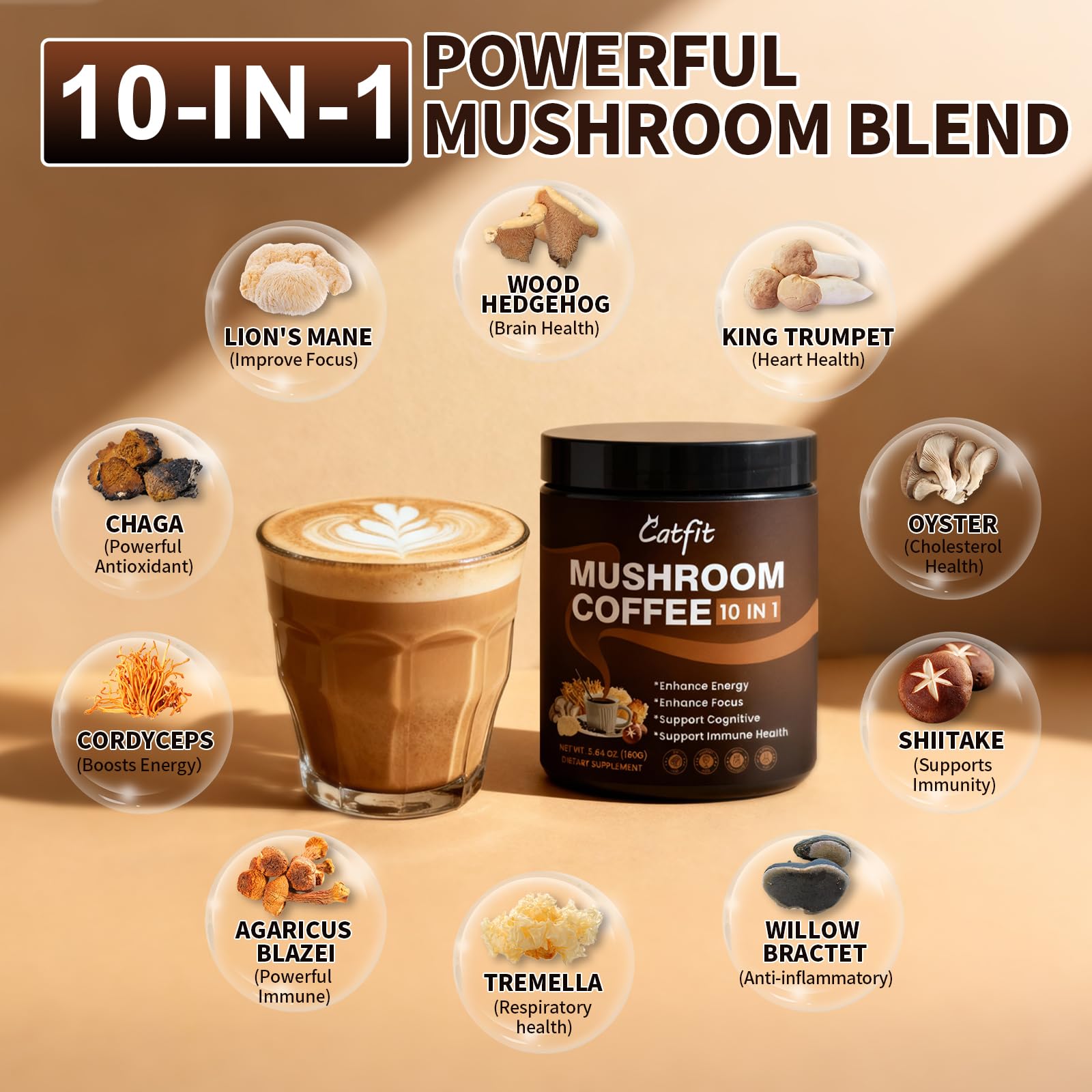 Catfit chaga champignon poudre — saveur équilibrée et digestion douce