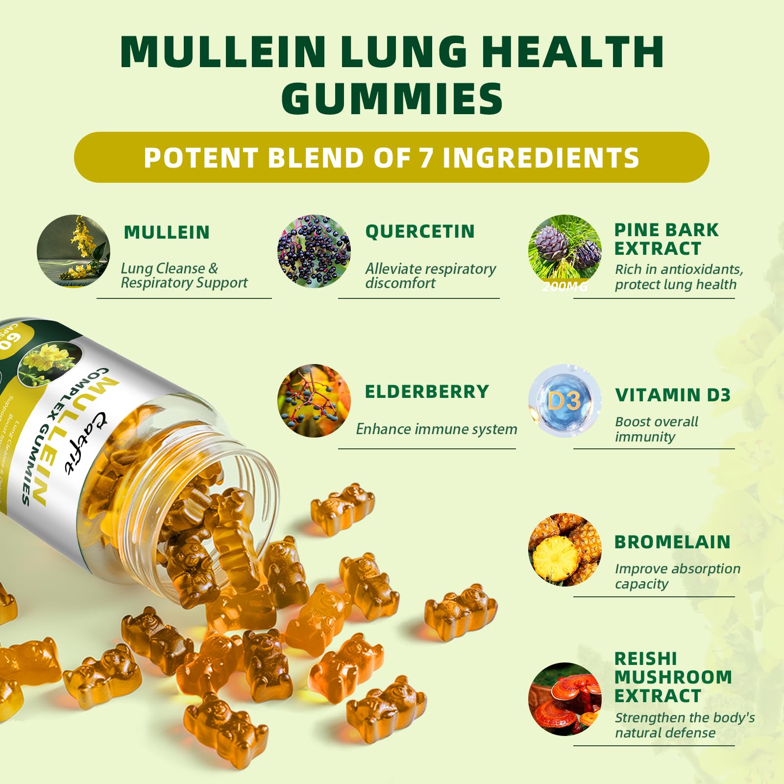 Extraits Molene, Quercetine et Sureau dans Catfit pour soutenir l immunité