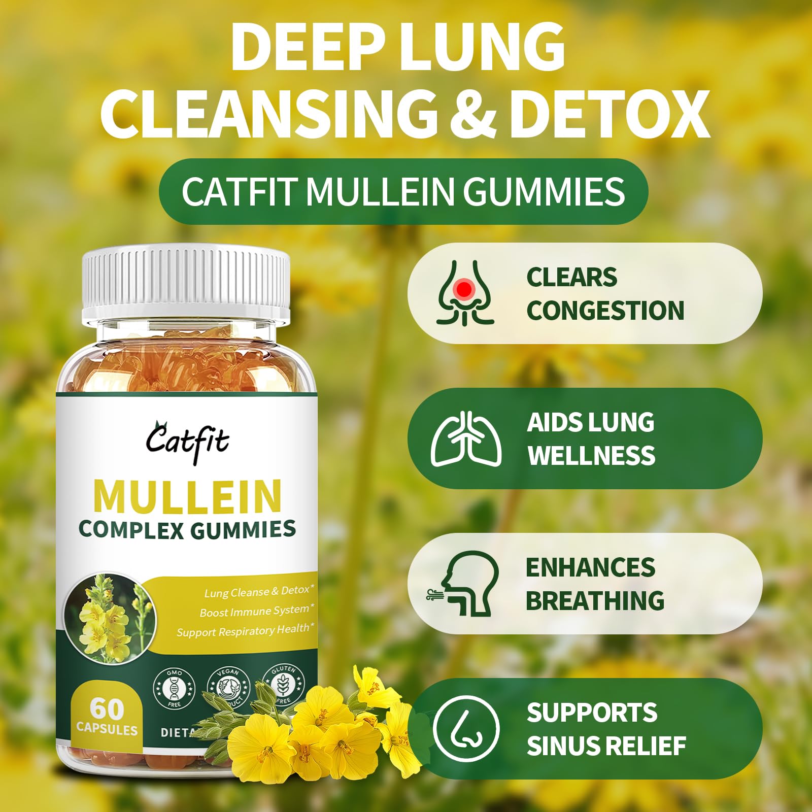 Texture douce des gommes Catfit au molene, ingestion facile
