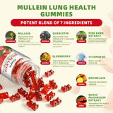 Catfit Gommes Mullein : ingrédients mis en avant avec mullein et sureau.