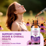 Catfit melange-11-plantes-drainage illustre une synergie naturelle.