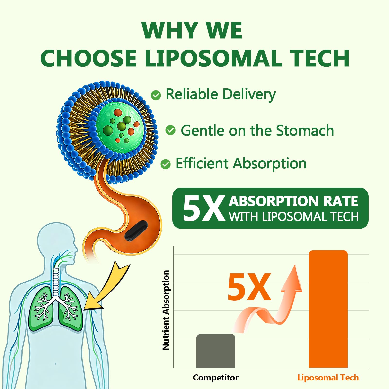 CCalthorvitana Liposomal Gélules Douces: prise facile et agréable.