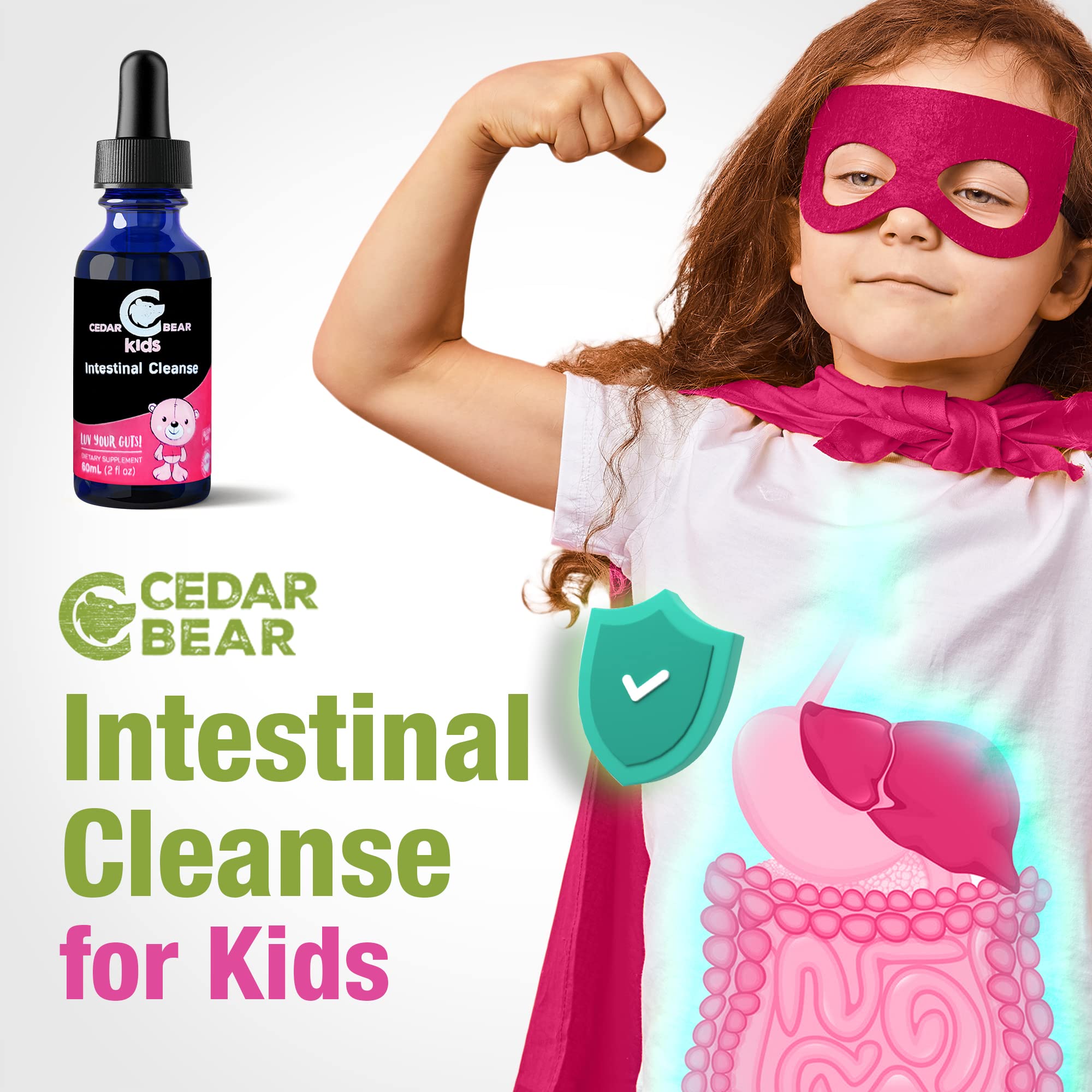 Cedar Bear: utilisation quotidienne facile pour une routine digestive légère.