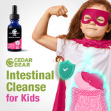 Cedar Bear: utilisation quotidienne facile pour une routine digestive légère.